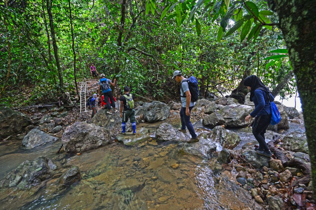 Selai Ripon Endau-Rompin Selai - Johor National Parks