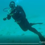 Scuba (13)