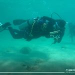 Scuba (16)