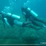 Scuba (17)