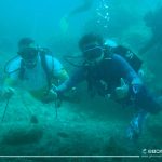 Scuba (20)